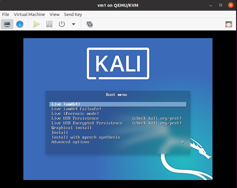 kali virtual machine